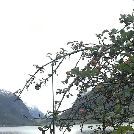 Apartamento With View In Jolster Årdal