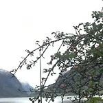 아파트 With View In Jolster Årdal