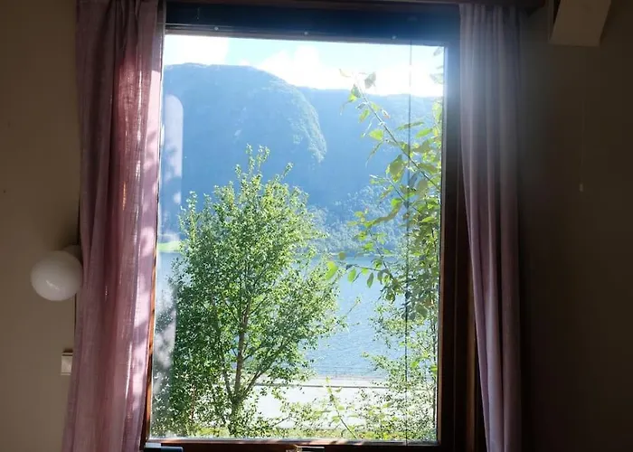 With View In Jolster *